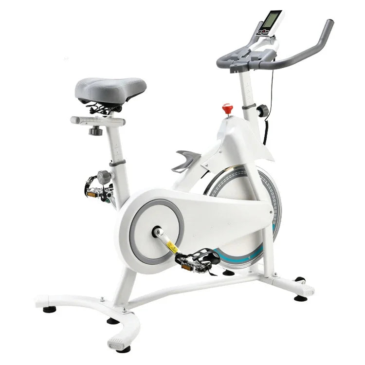 Dynamic Spinning Bike Physiotherapy Freewheel Exercise Bike Stationary Bike with Monitor Mount - GilloServ