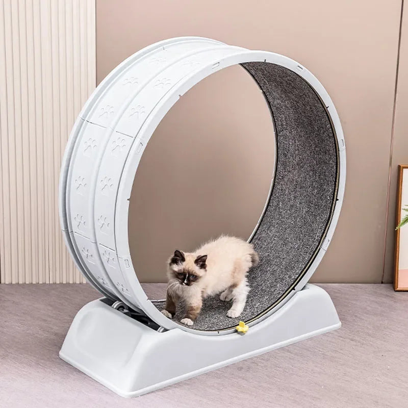 Silent Cat Treadmill Running Wheel Large Pet Supplies Anti Pinch Foot Exercise - GilloServ