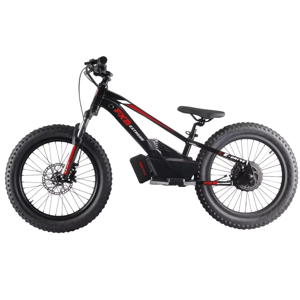 New model Electric Balance Bike with 20-Inch off road bikes Removable Battery E-bikes - GilloServ