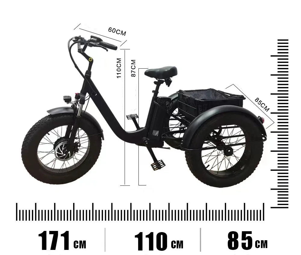 20 Inch Electric 750W Motor Fat Tire///3 Wheel Tricycle Adult Cargo/// Electric Bike with Basket - GilloServ