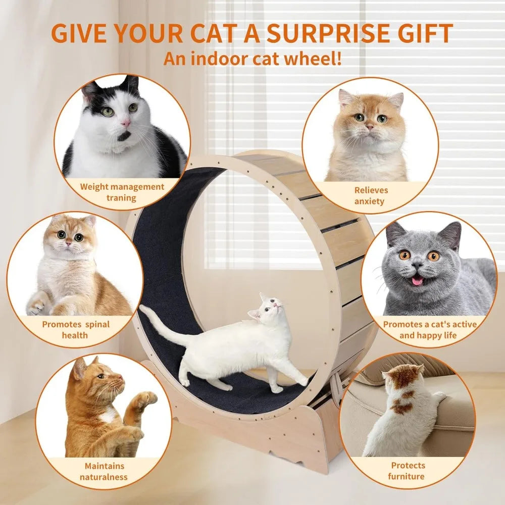Large Cat Exercise Wheel 40 Inch Treadmill Exerciser for Indoor Cats - GilloServ
