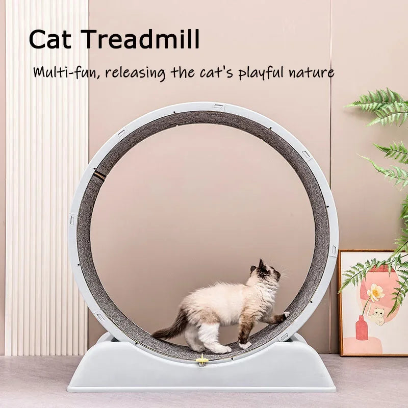 Silent Cat Treadmill Running Wheel Large Pet Supplies Anti Pinch Foot Exercise - GilloServ