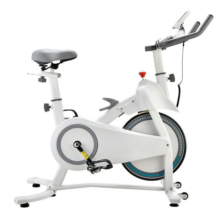 Dynamic Spinning Bike Physiotherapy Freewheel Exercise Bike Stationary Bike with Monitor Mount - GilloServ