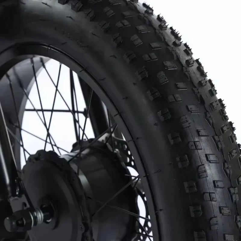 Fat Tire Electric Bicycle 20 Inch 3 Wheel Electric Adults Powerful 48V 500W Lithium Battery - GilloServ