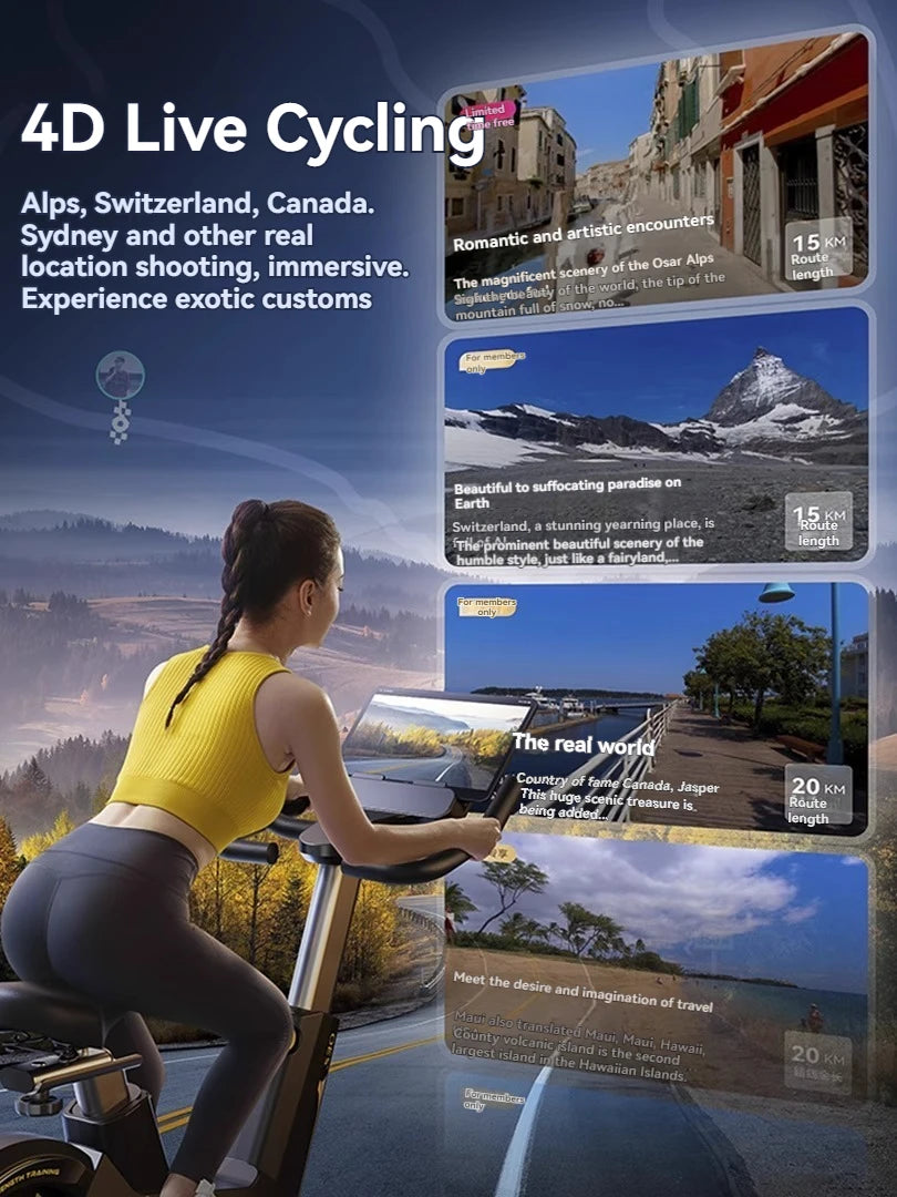 Spinning Bike Household Quiet Indoor Exercise Bike Gym Special Aerobic Weight Loss Equipment - GilloServ