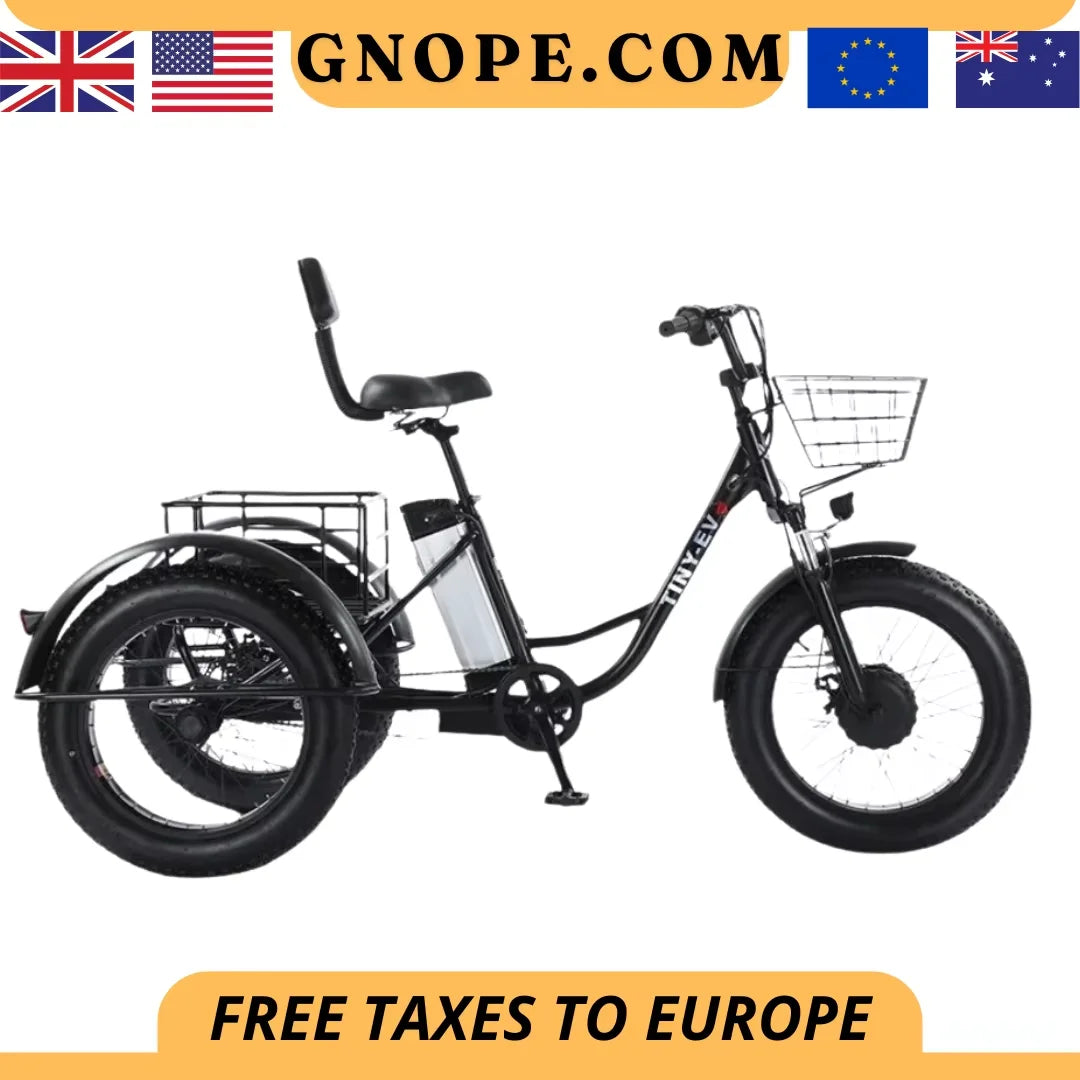 Fat Tire Electric Bicycle 20 Inch 3 Wheel Electric Adults Powerful 48V 500W Lithium Battery - GilloServ