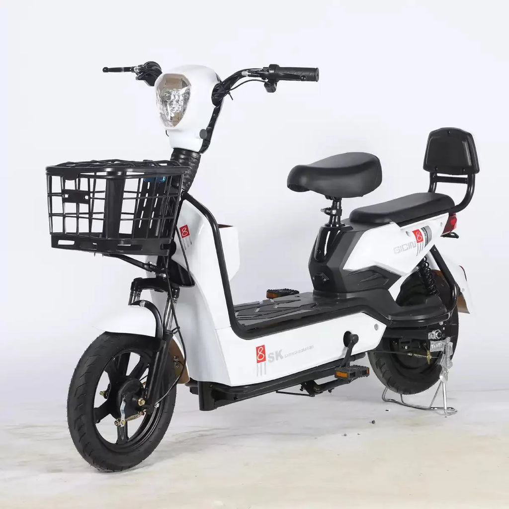 Best-Selling Lightweight Two-Wheeled Electric Bike - GilloServ