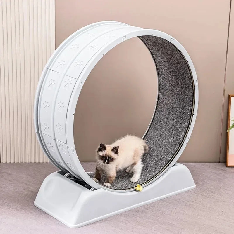 Cat Treadmill Silent Pet Fitness Roller Foot Exercise Running Wheel - GilloServ