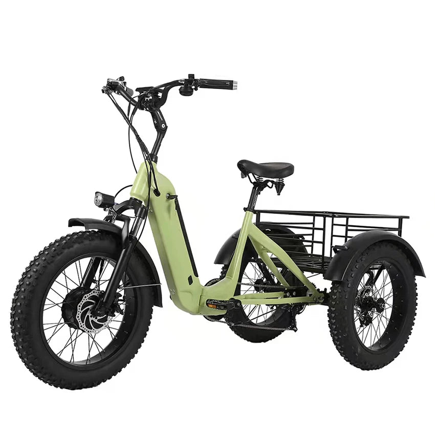 48V 500W Fat Tire Hub Motor 3 Wheel Foldable Electric Cargo - GilloServ