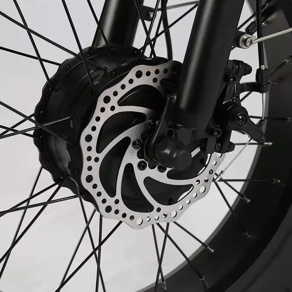 48V 500W Fat Tire Hub Motor 3 Wheel Foldable Electric Cargo - GilloServ